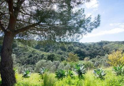 3 bedroom Villa for sale in Mijas with garage - € 795,000 (Ref: 10159637)
