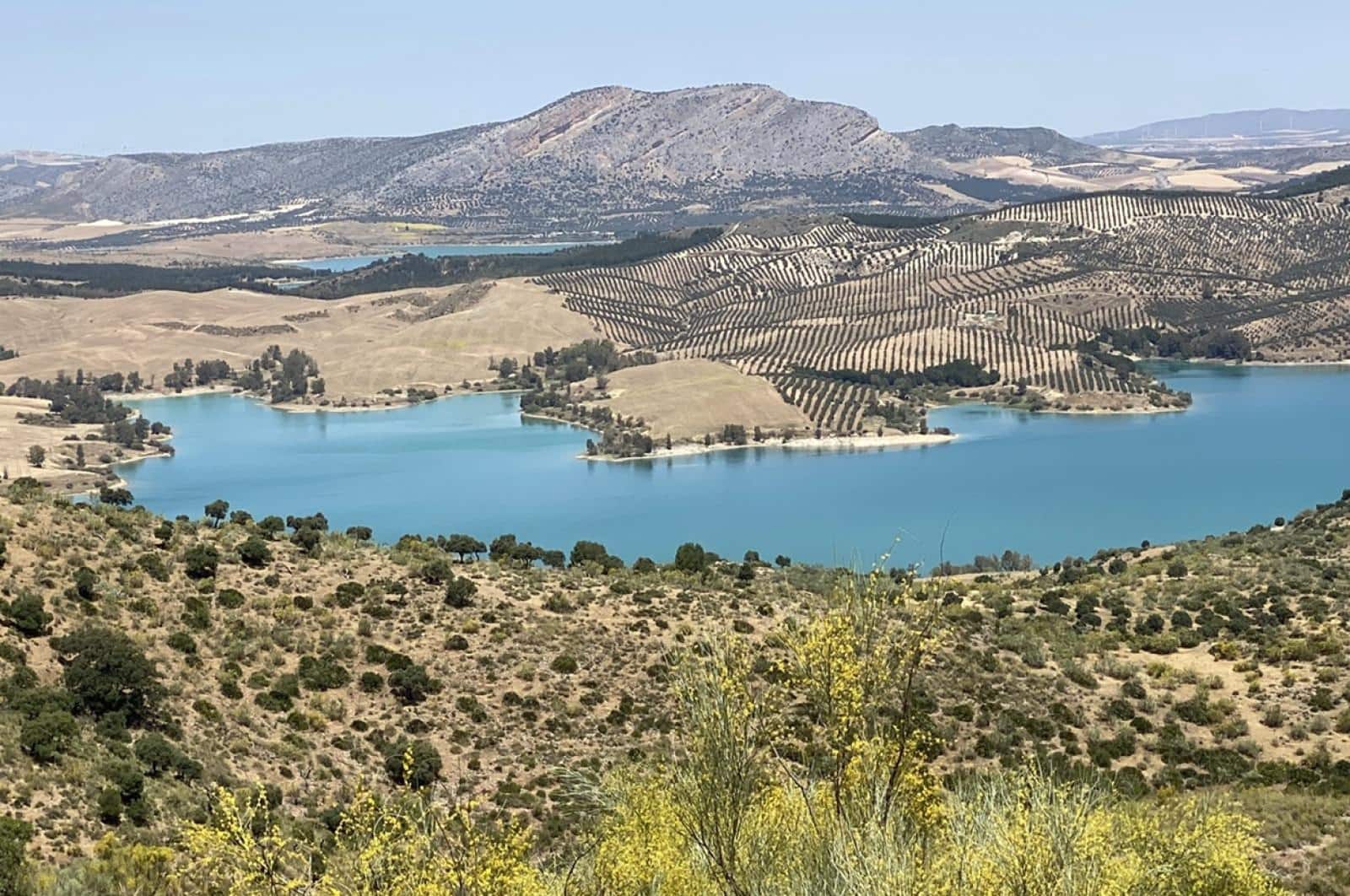 Building Plot for sale in Ardales - € 1,500,000 (Ref: 8429666)