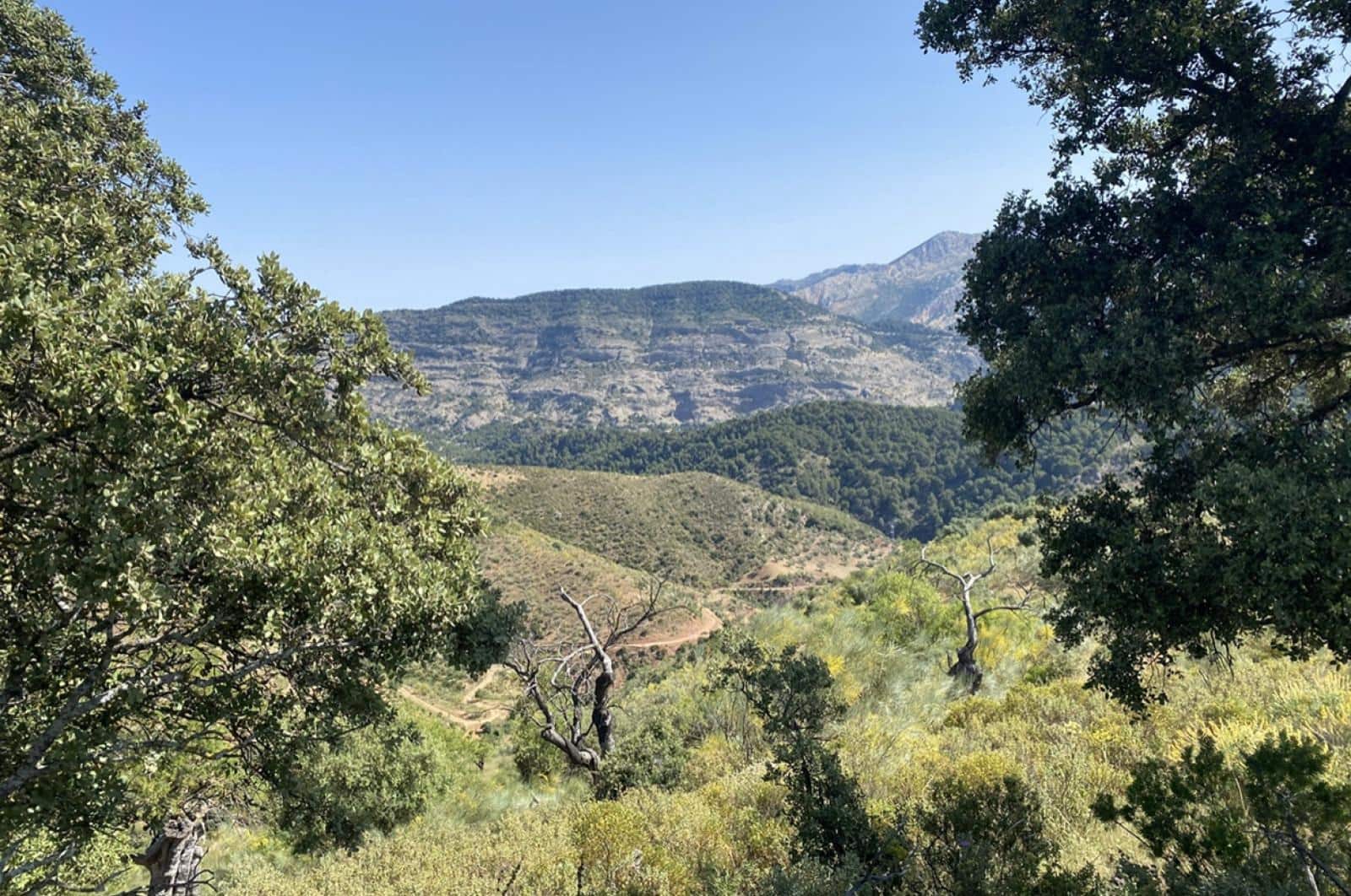 Building Plot for sale in Ardales - € 1,500,000 (Ref: 8429666)