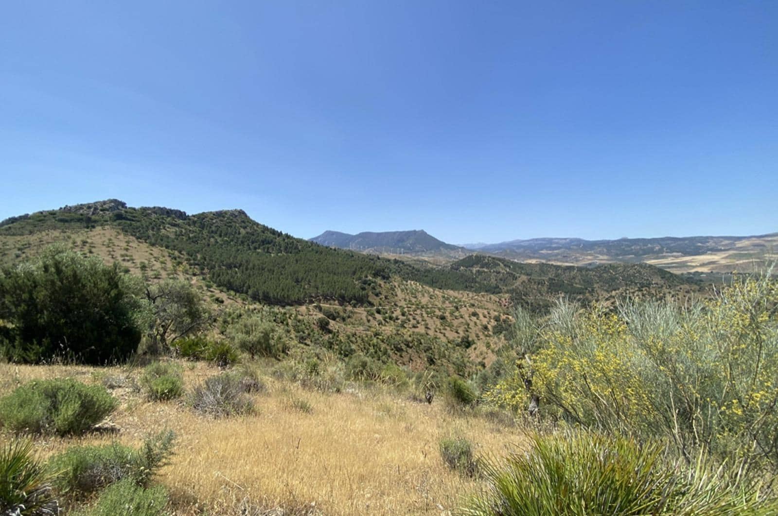 Building Plot for sale in Ardales - € 1,500,000 (Ref: 8429666)