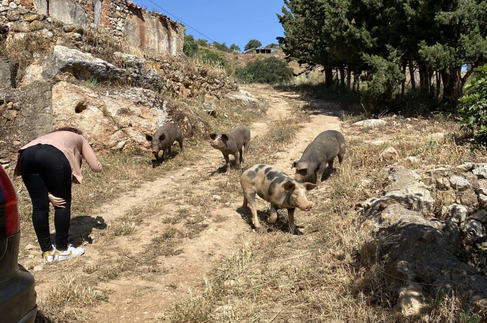 Building Plot for sale in Ardales - € 1,500,000 (Ref: 8429666)