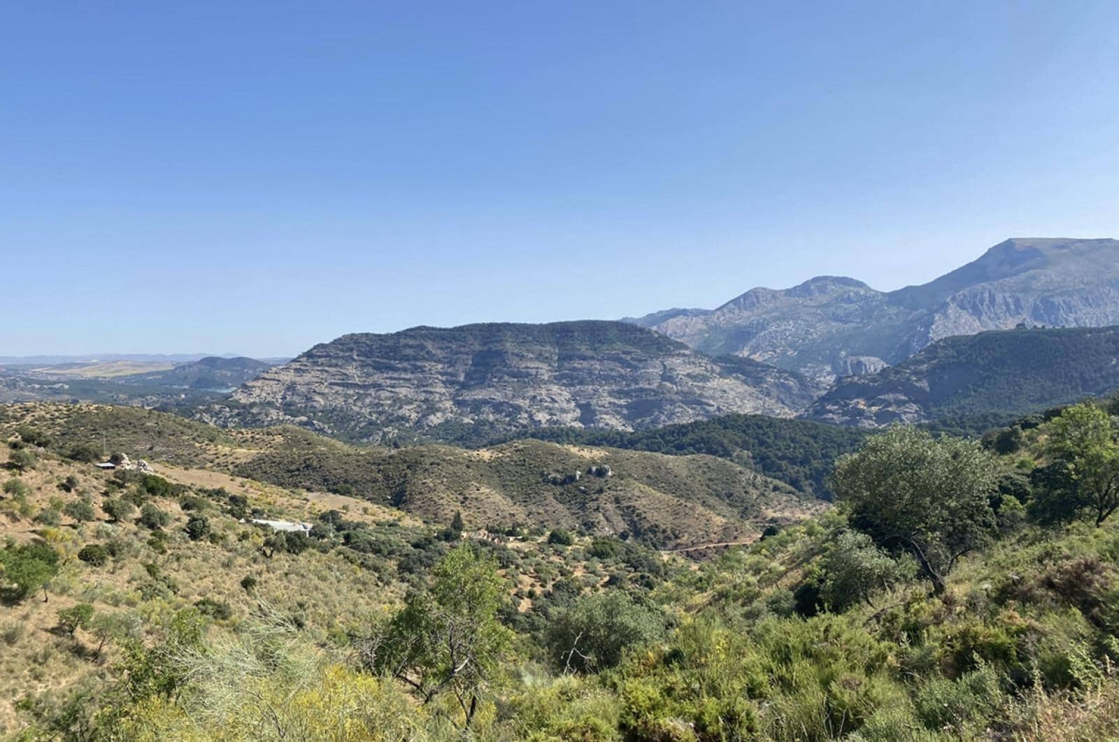 Building Plot for sale in Ardales - € 1,500,000 (Ref: 8429666)