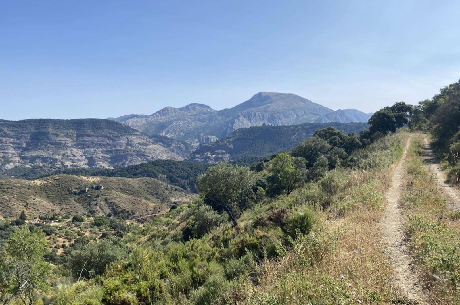 Building Plot for sale in Ardales - € 1,500,000 (Ref: 8429666)