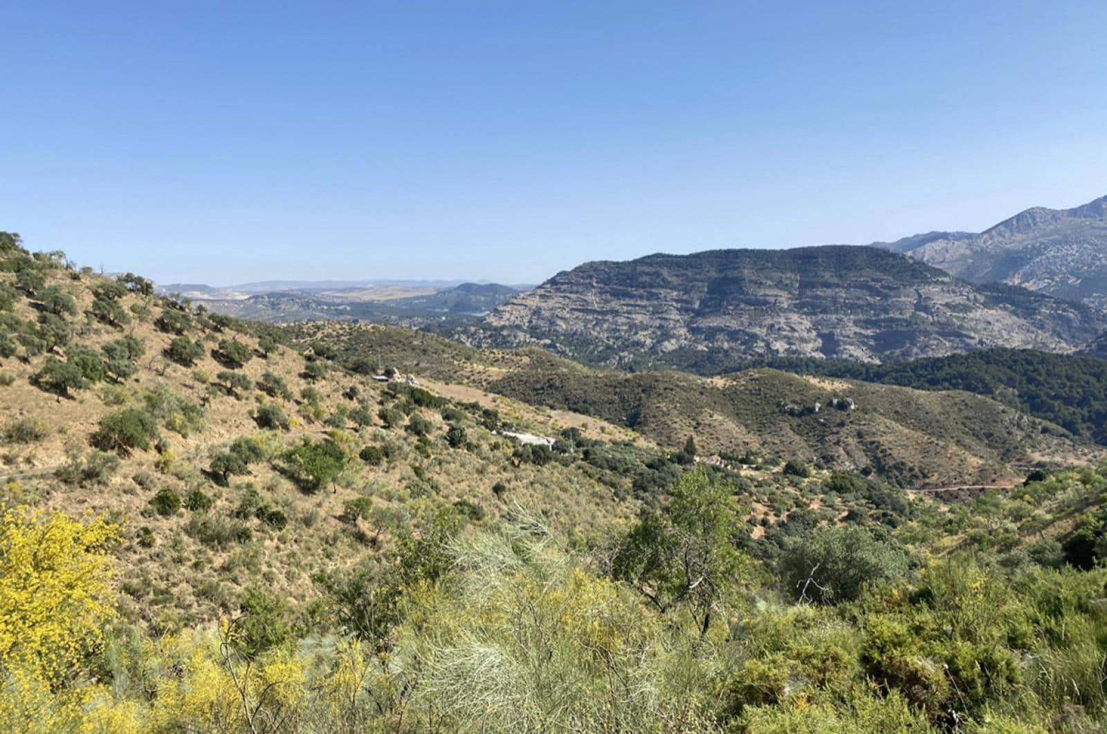 Building Plot for sale in Ardales - € 1,500,000 (Ref: 8429666)