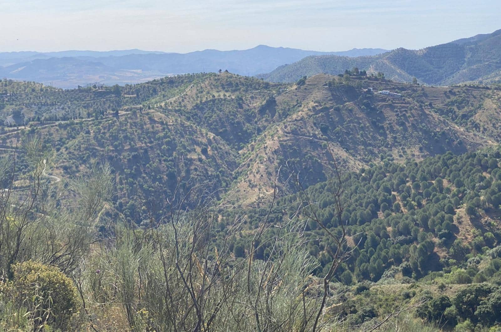 Building Plot for sale in Ardales - € 1,500,000 (Ref: 8429666)