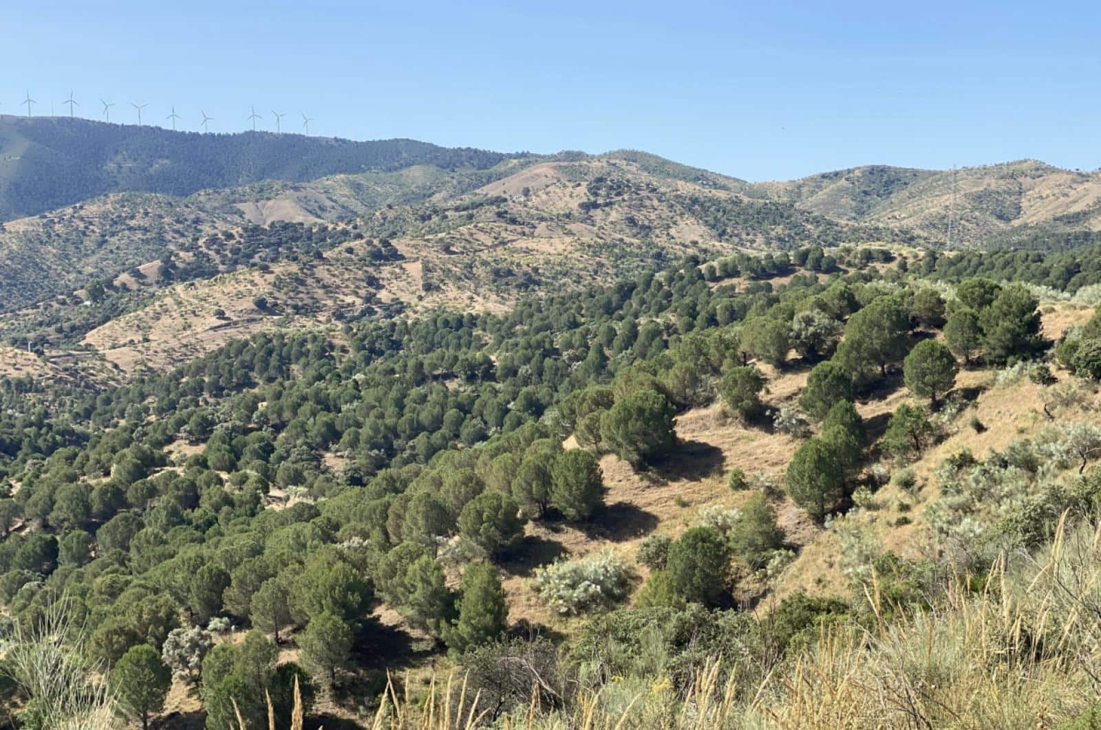 Building Plot for sale in Ardales - € 1,500,000 (Ref: 8429666)