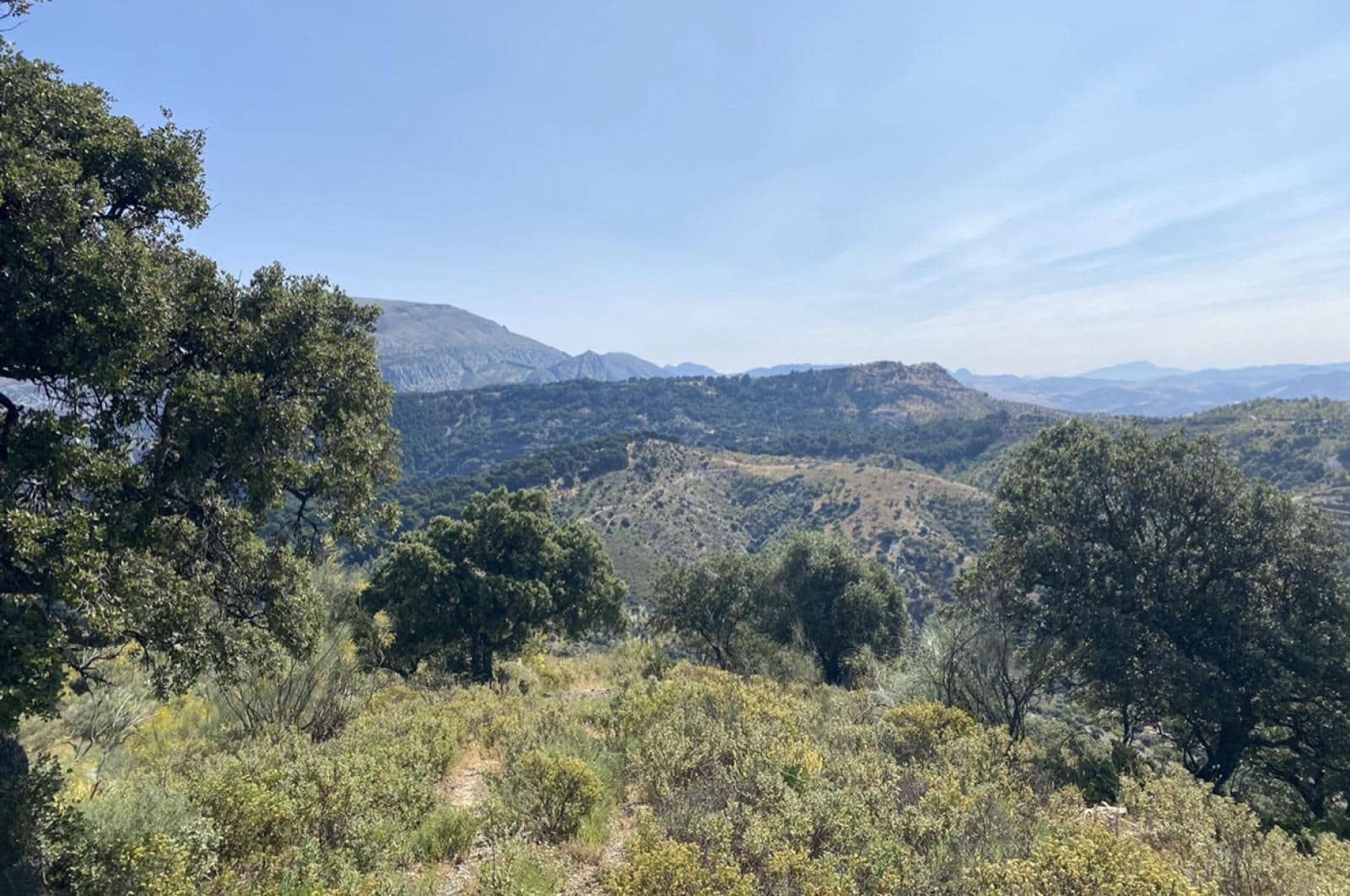 Building Plot for sale in Ardales - € 1,500,000 (Ref: 8429666)