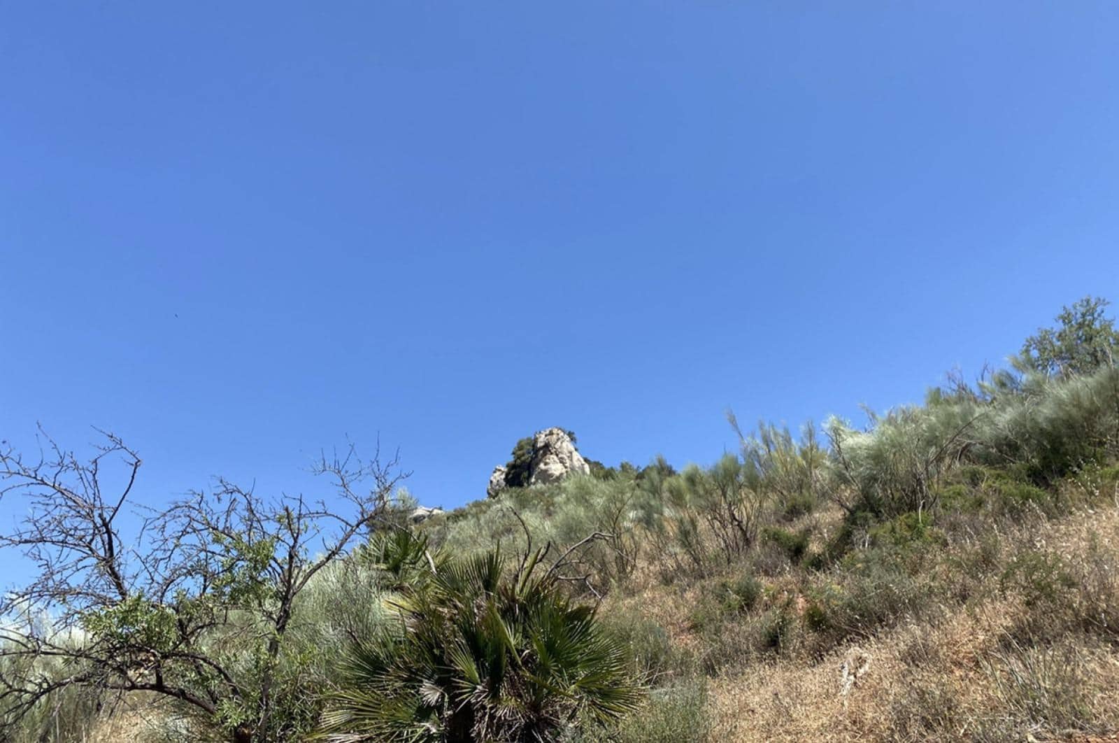 Building Plot for sale in Ardales - € 1,500,000 (Ref: 8429666)