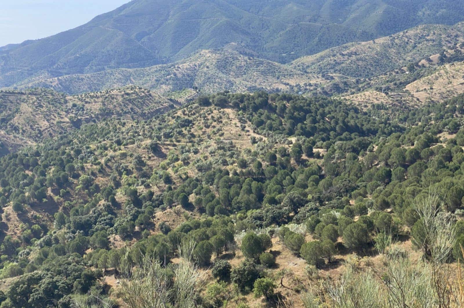 Building Plot for sale in Ardales - € 1,500,000 (Ref: 8429666)