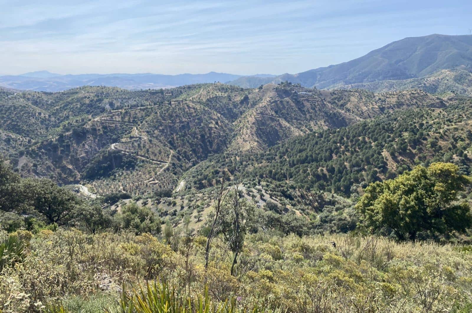 Building Plot for sale in Ardales - € 1,500,000 (Ref: 8429666)