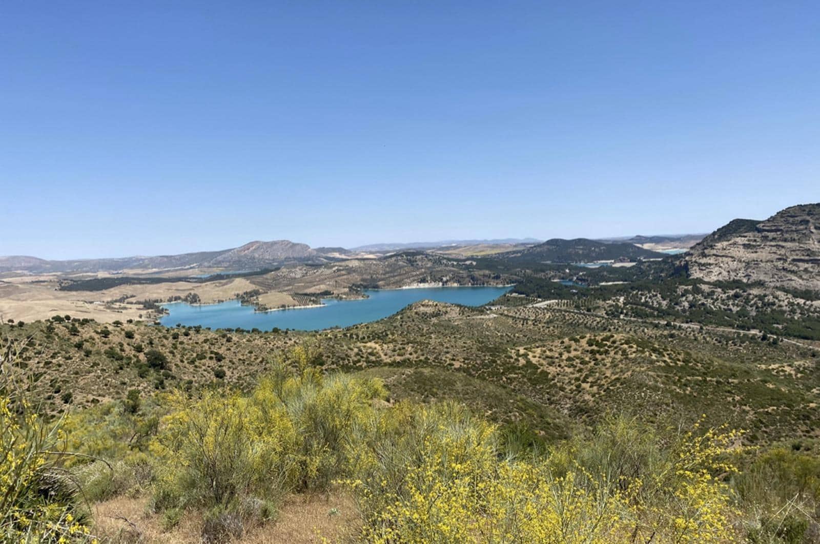 Building Plot for sale in Ardales - € 1,500,000 (Ref: 8429666)