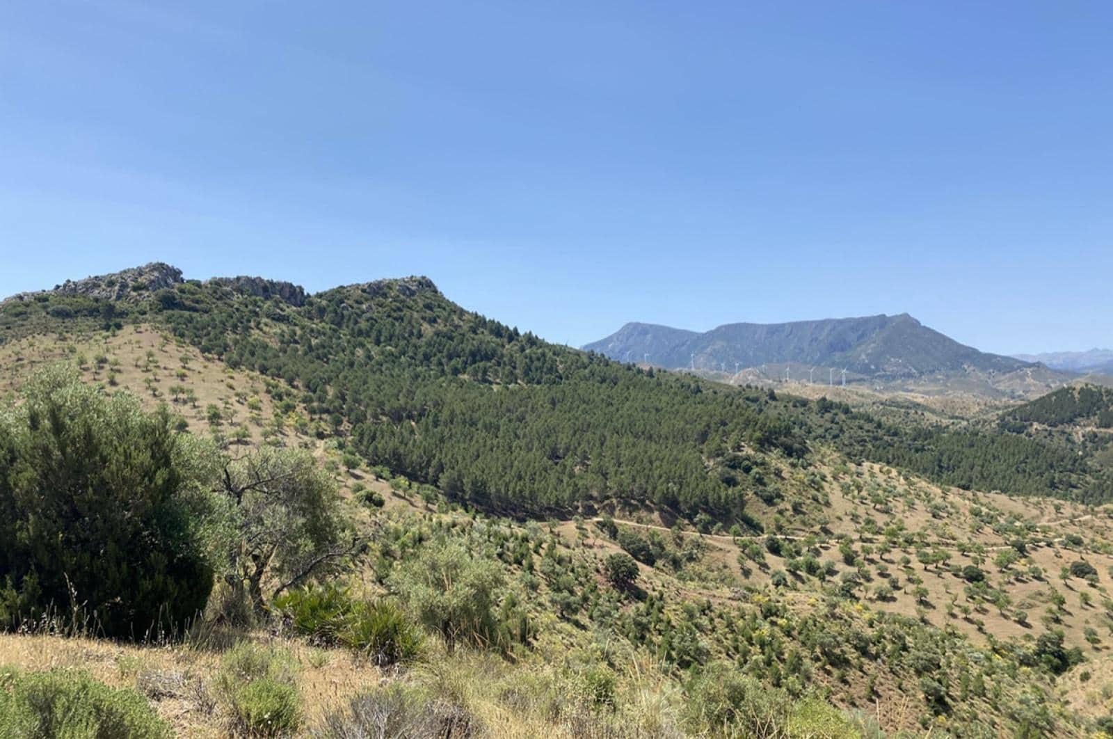 Building Plot for sale in Ardales - € 1,500,000 (Ref: 8429666)