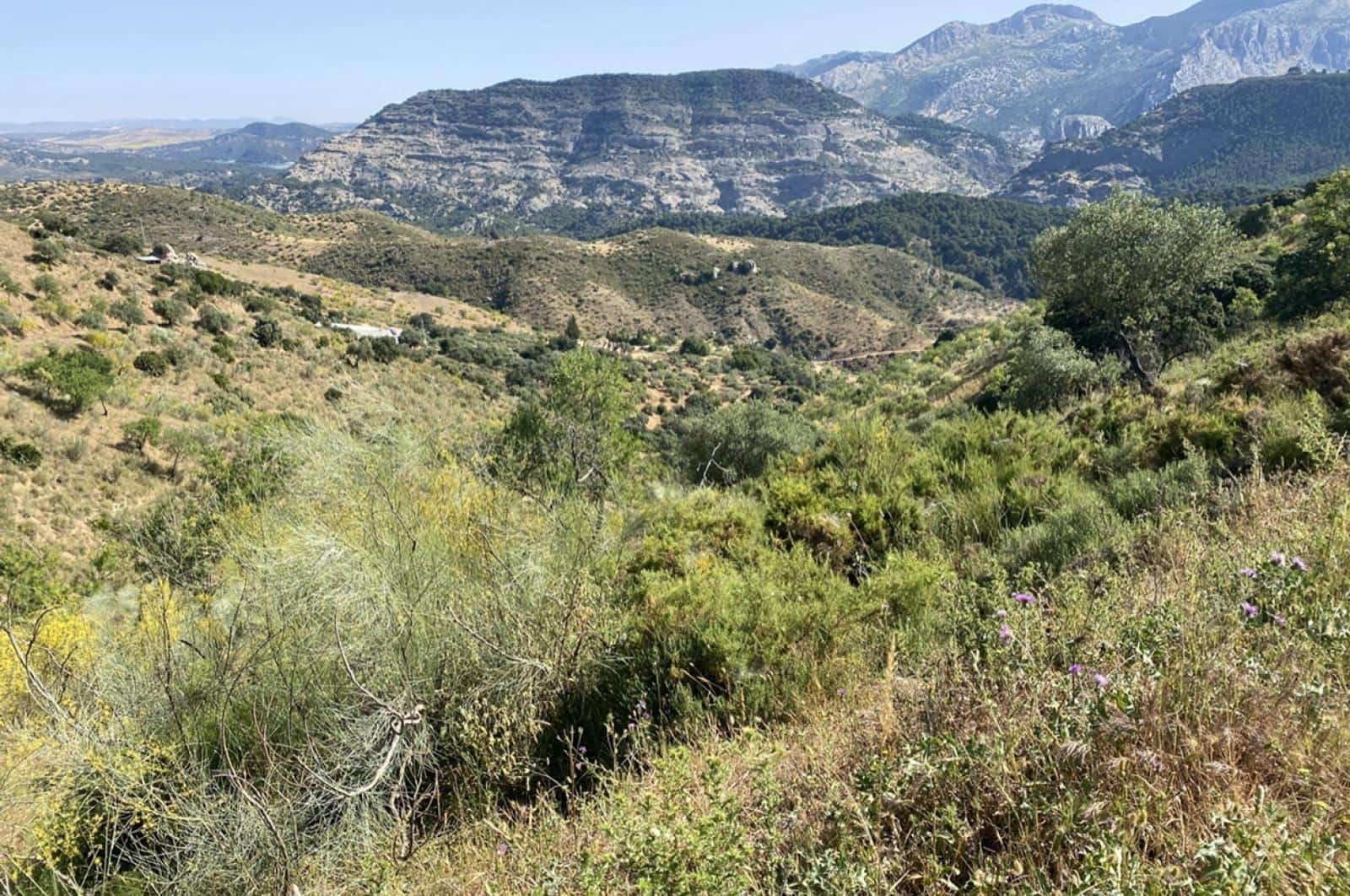 Building Plot for sale in Ardales - € 1,500,000 (Ref: 8429666)