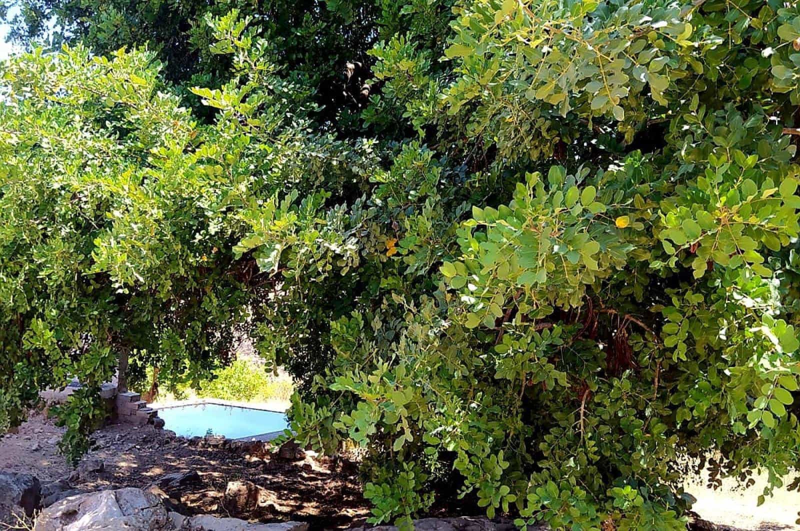 Building Plot for sale in Ardales - € 1,500,000 (Ref: 8429666)