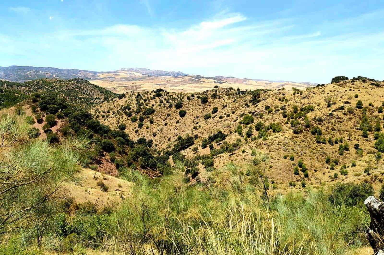 Building Plot for sale in Ardales - € 1,500,000 (Ref: 8429666)