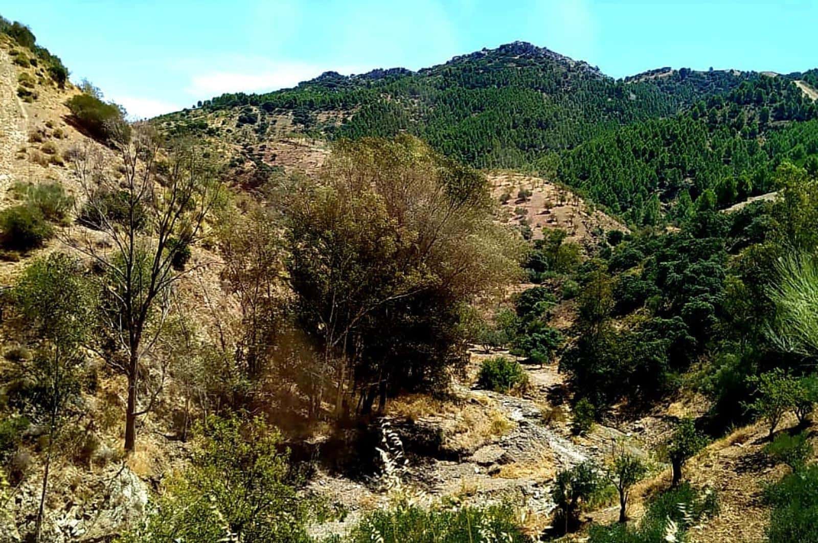 Building Plot for sale in Ardales - € 1,500,000 (Ref: 8429666)