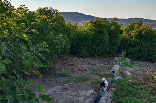 Grond te koop in Alora - € 1.200.000 (Ref: 8429687)