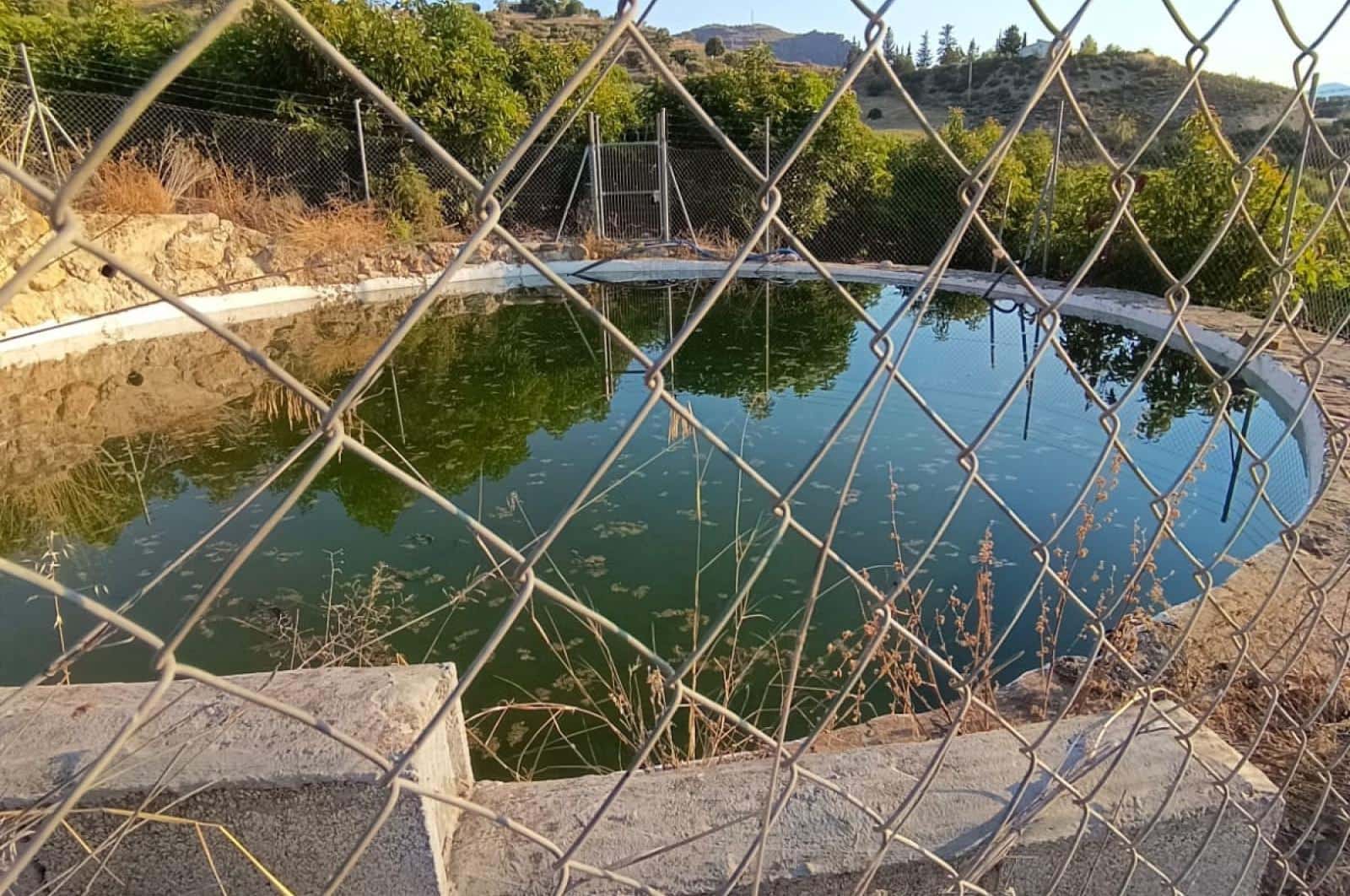 Ubebygd land til salgs i Alora - € 1 200 000 (Ref: 8429687)