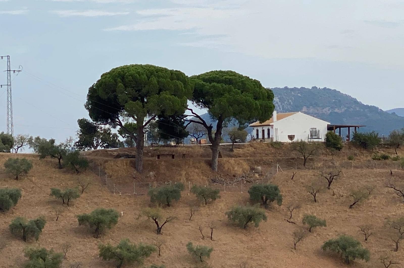 Building Plot for sale in Colmenar - € 199,000 (Ref: 8429720)