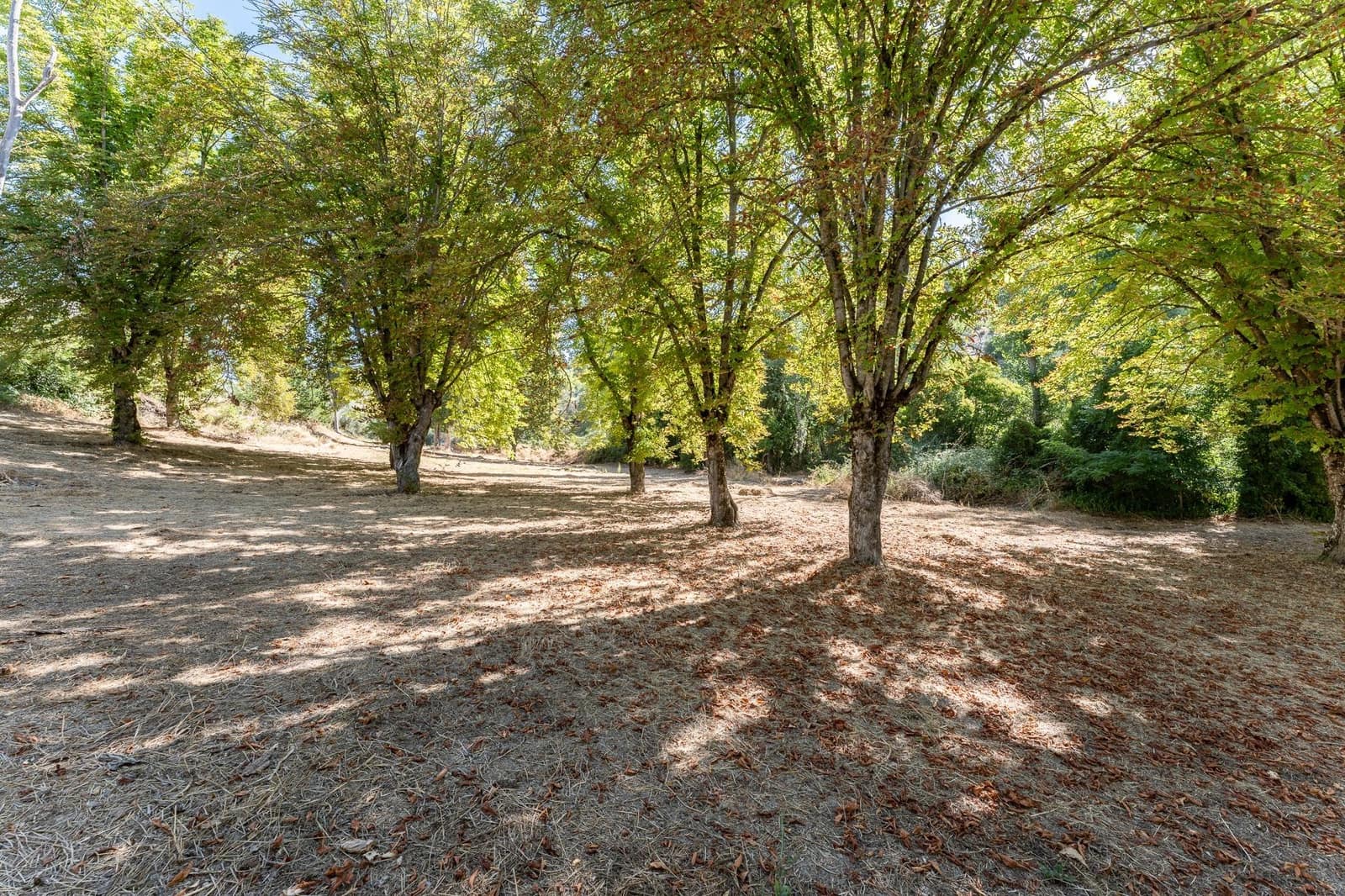 6 soveværelse Villa til salg i Rute med swimmingpool garage - € 995.000 (Ref: 8457062)