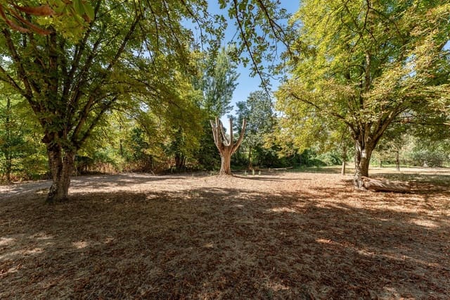 6 soveværelse Villa til salg i Rute med swimmingpool garage - € 995.000 (Ref: 8457062)