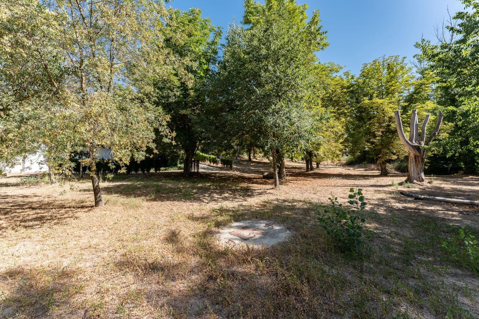 Chalet de 6 habitaciones en Rute en venta con piscina garaje - 995.000 € (Ref: 8457062)