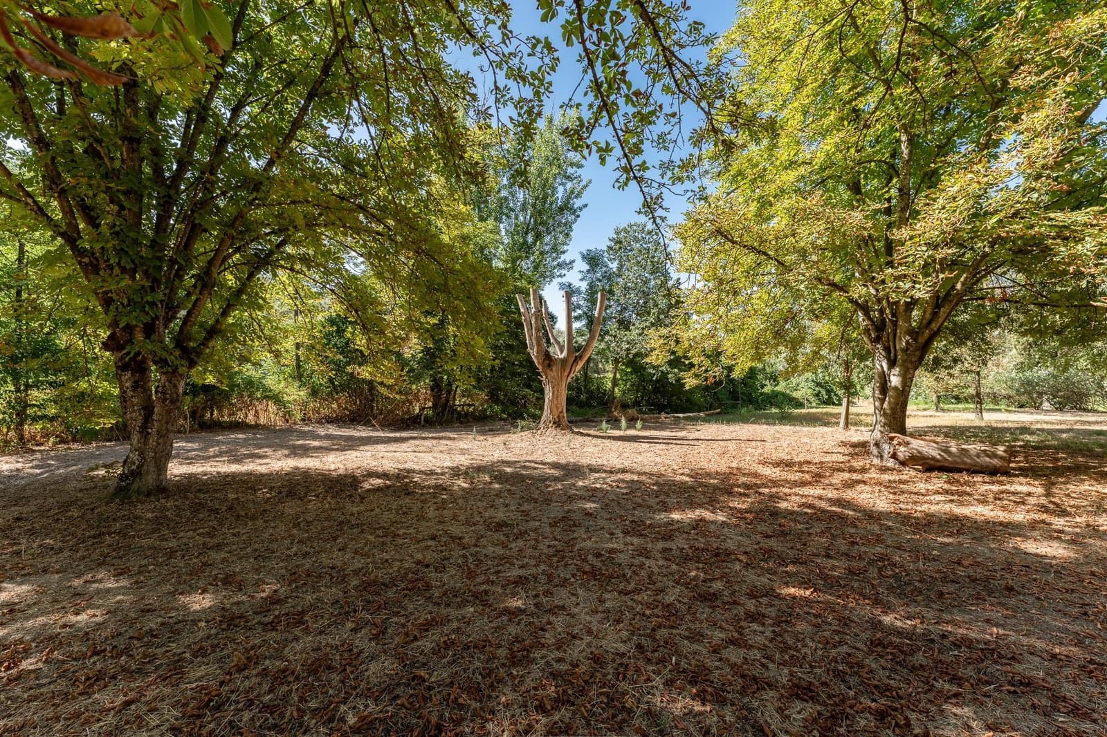 Chalet de 6 habitaciones en Rute en venta con piscina garaje - 995.000 € (Ref: 8457062)