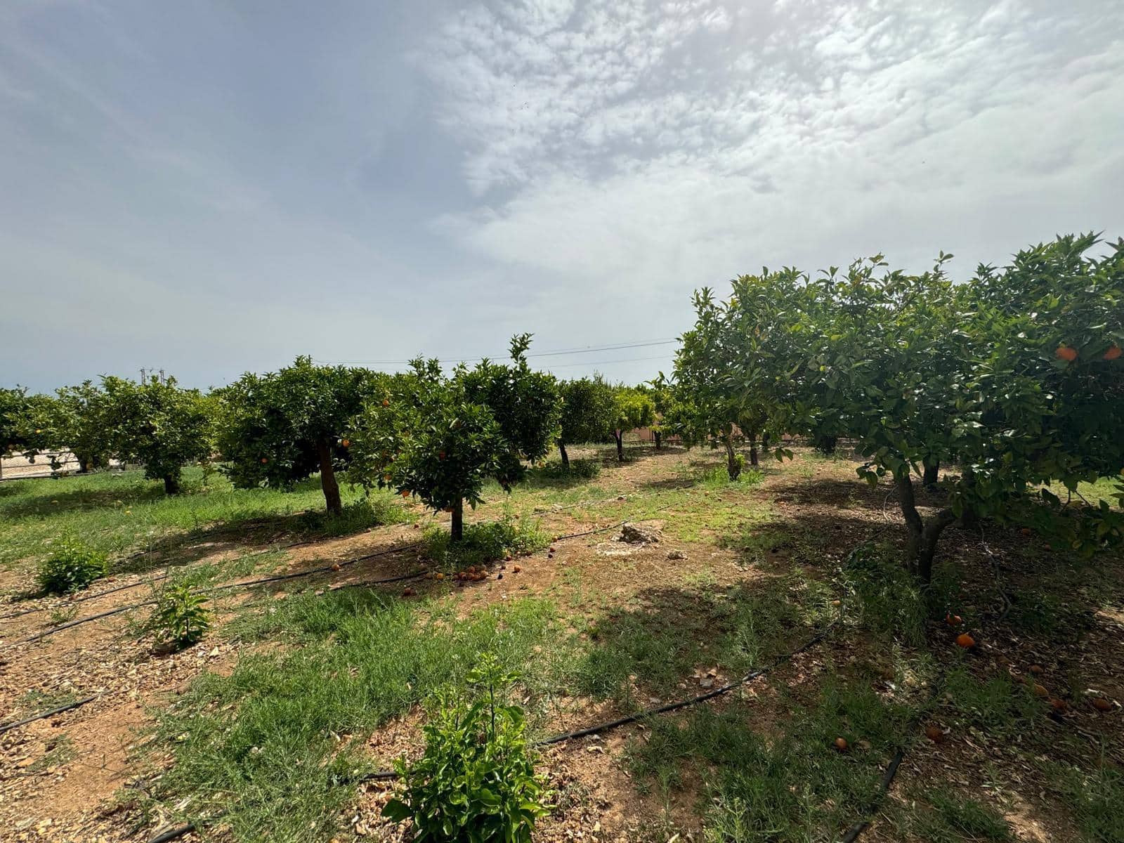 5 camera da letto Villa in vendita in Pinos de Alhaurin con piscina - 1.590.000 € (Rif: 8488892)