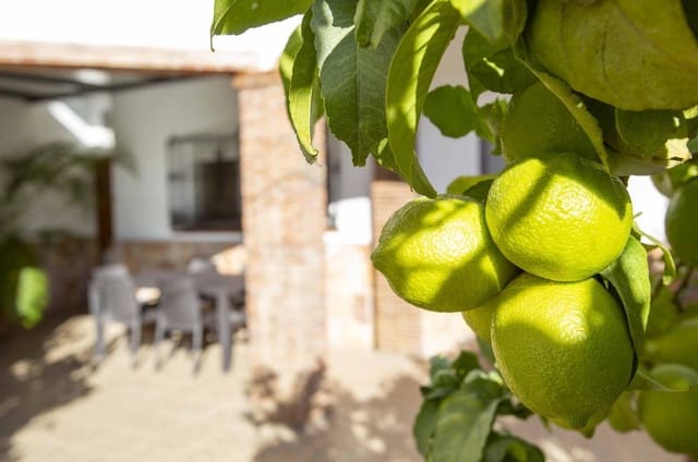 4 camera da letto Villa in vendita in El Borge - 274.900 € (Rif: 8570513)