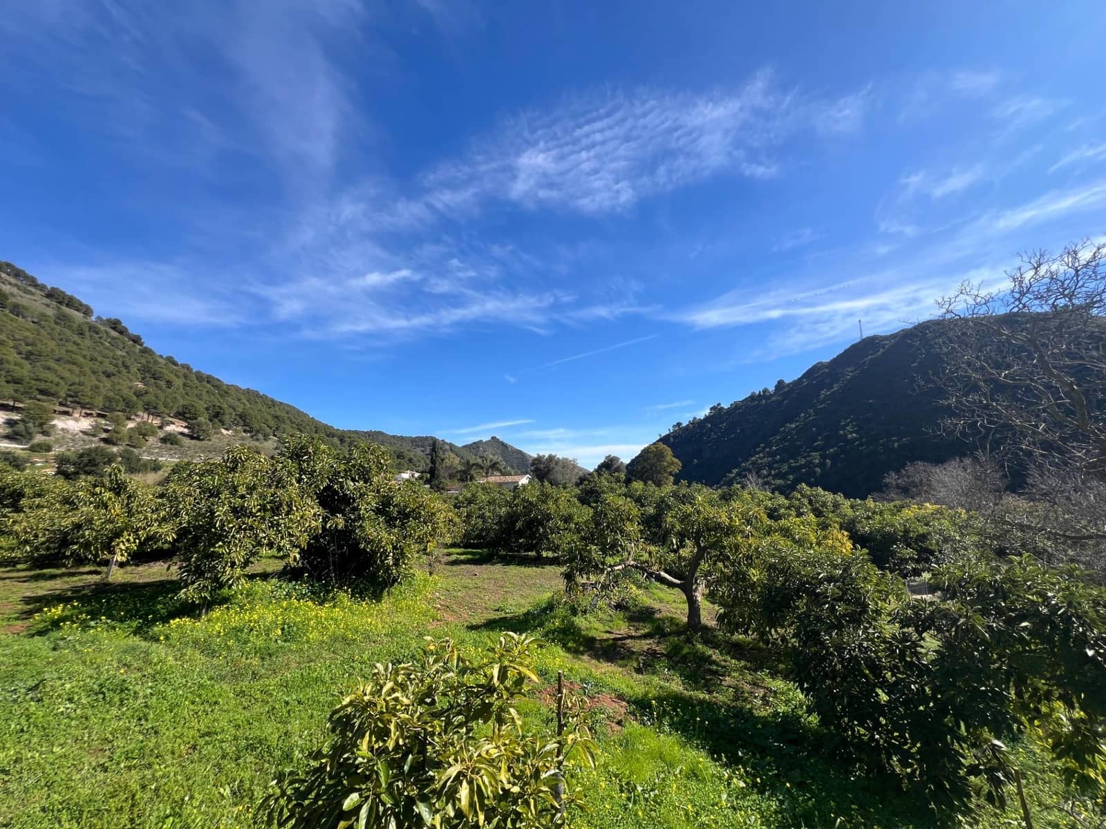 3 soverom Finca/Herregård til salgs i Coin - € 575 000 (Ref: 8827527)