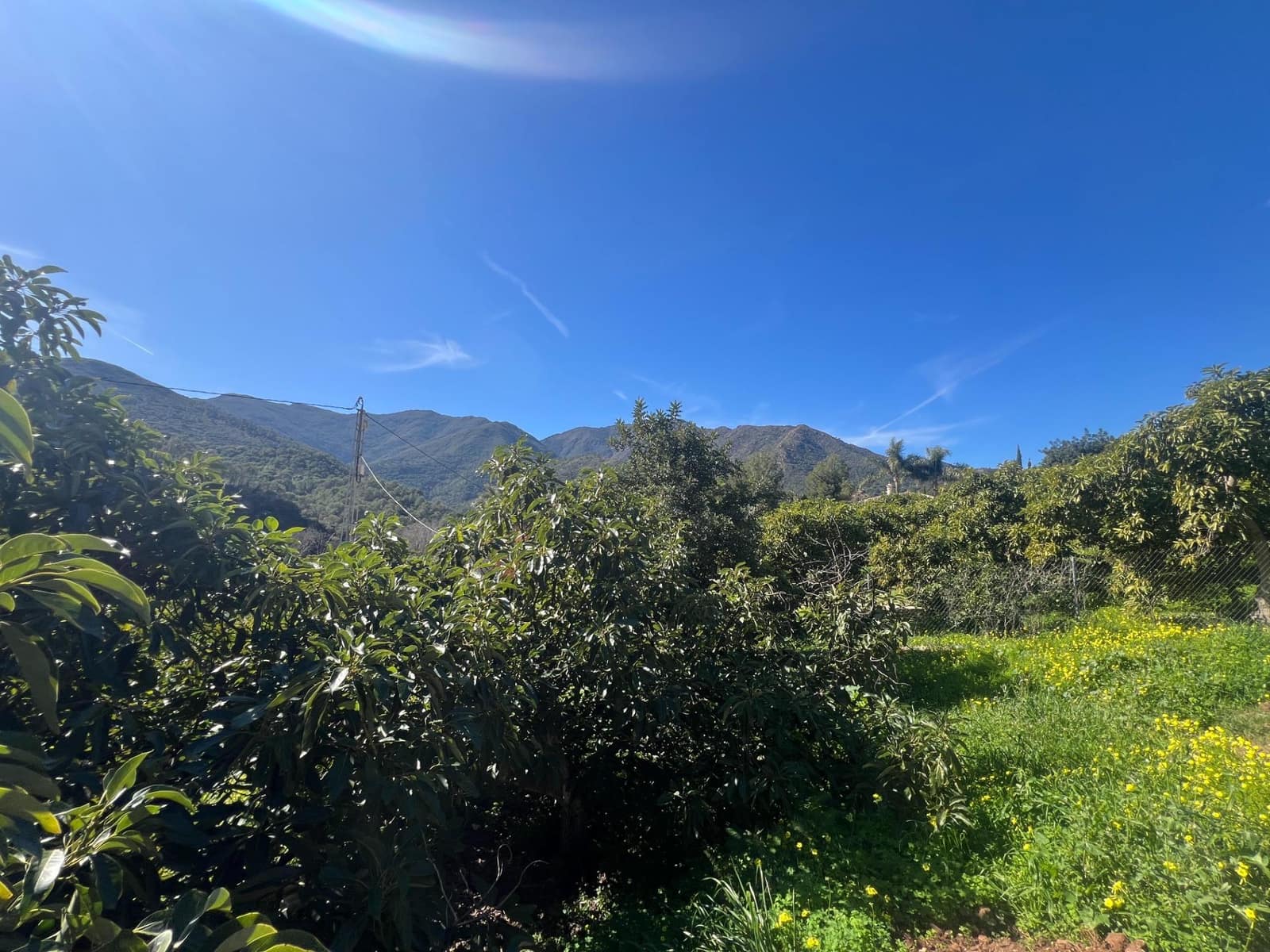 3 soverom Finca/Herregård til salgs i Coin - € 575 000 (Ref: 8827527)