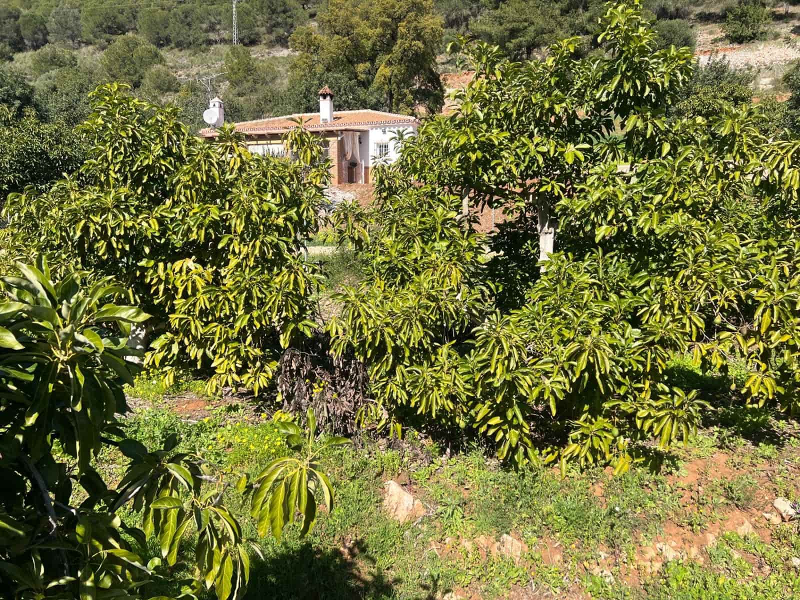 3 soverom Finca/Herregård til salgs i Coin - € 575 000 (Ref: 8827527)