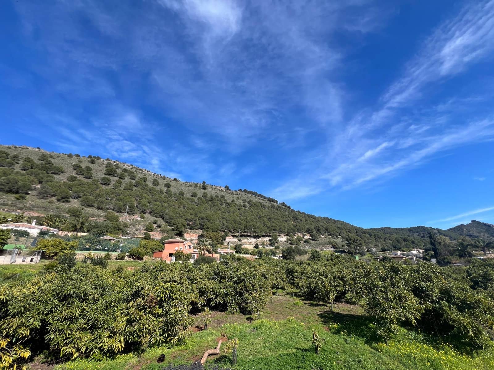 3 soverom Finca/Herregård til salgs i Coin - € 575 000 (Ref: 8827527)