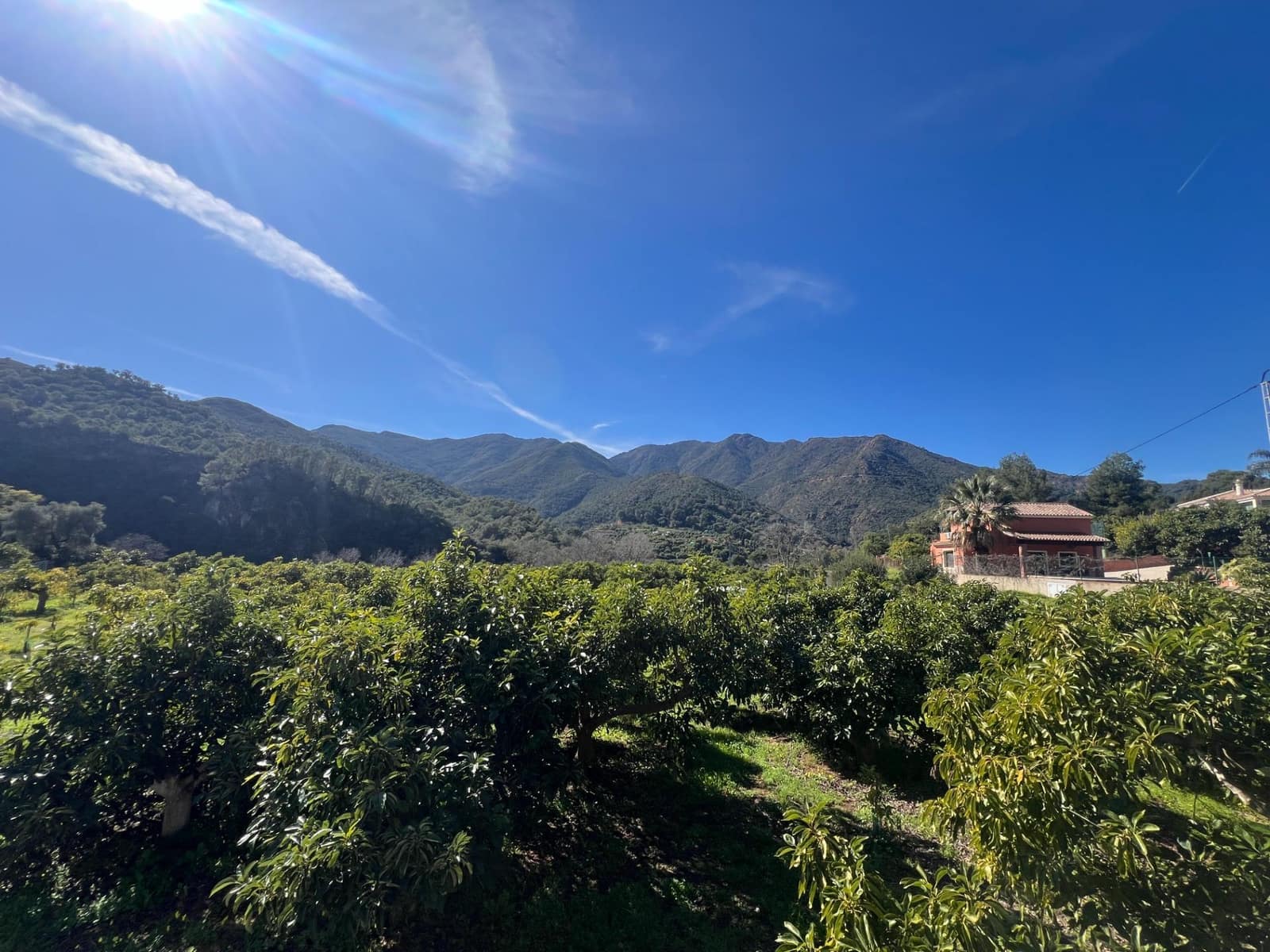 3 soverom Finca/Herregård til salgs i Coin - € 575 000 (Ref: 8827527)