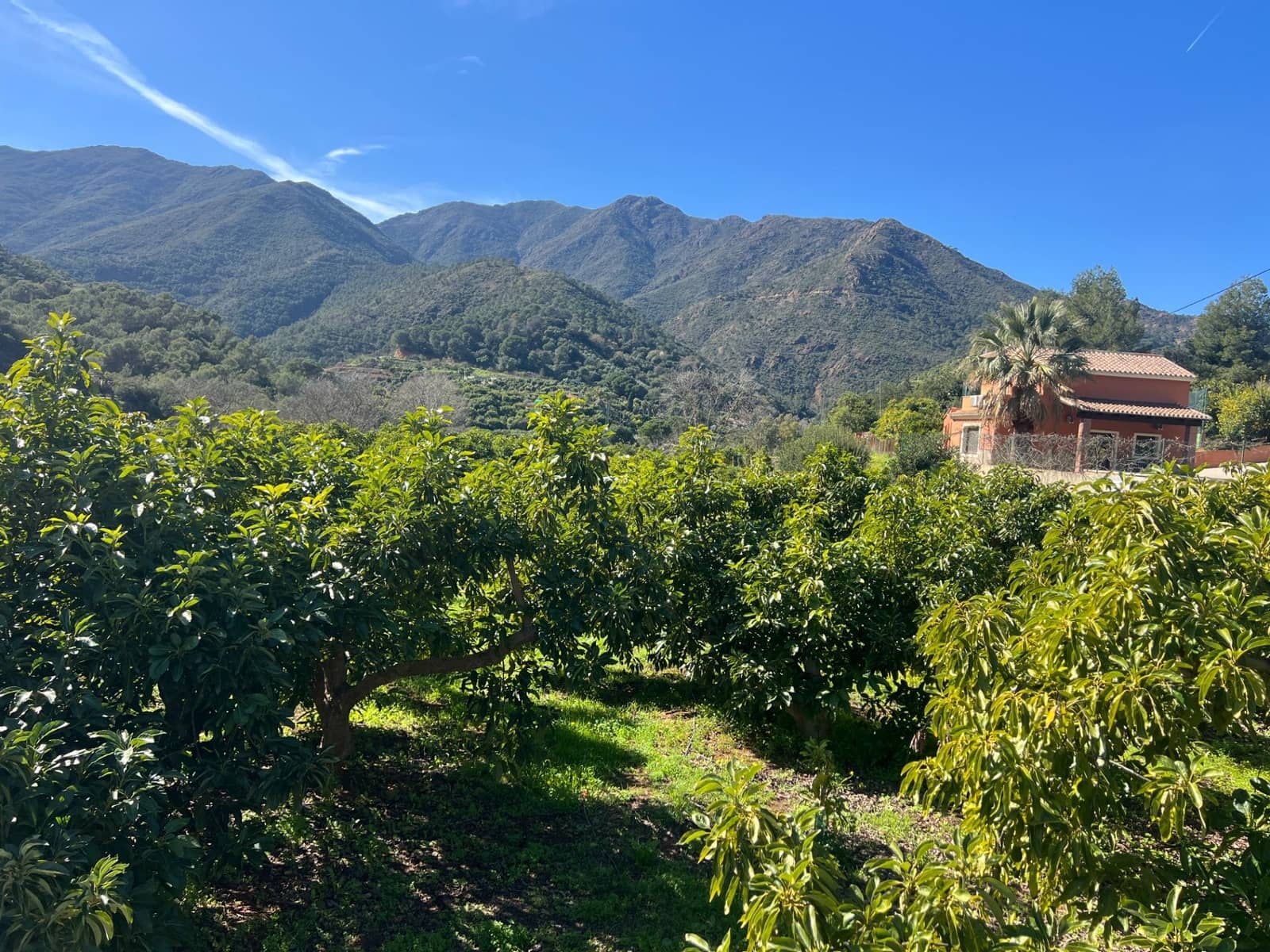 3 soverom Finca/Herregård til salgs i Coin - € 575 000 (Ref: 8827527)