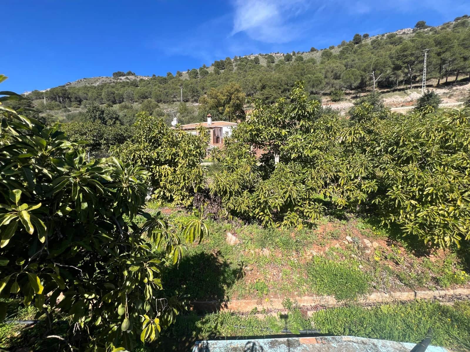 3 soverom Finca/Herregård til salgs i Coin - € 575 000 (Ref: 8827527)