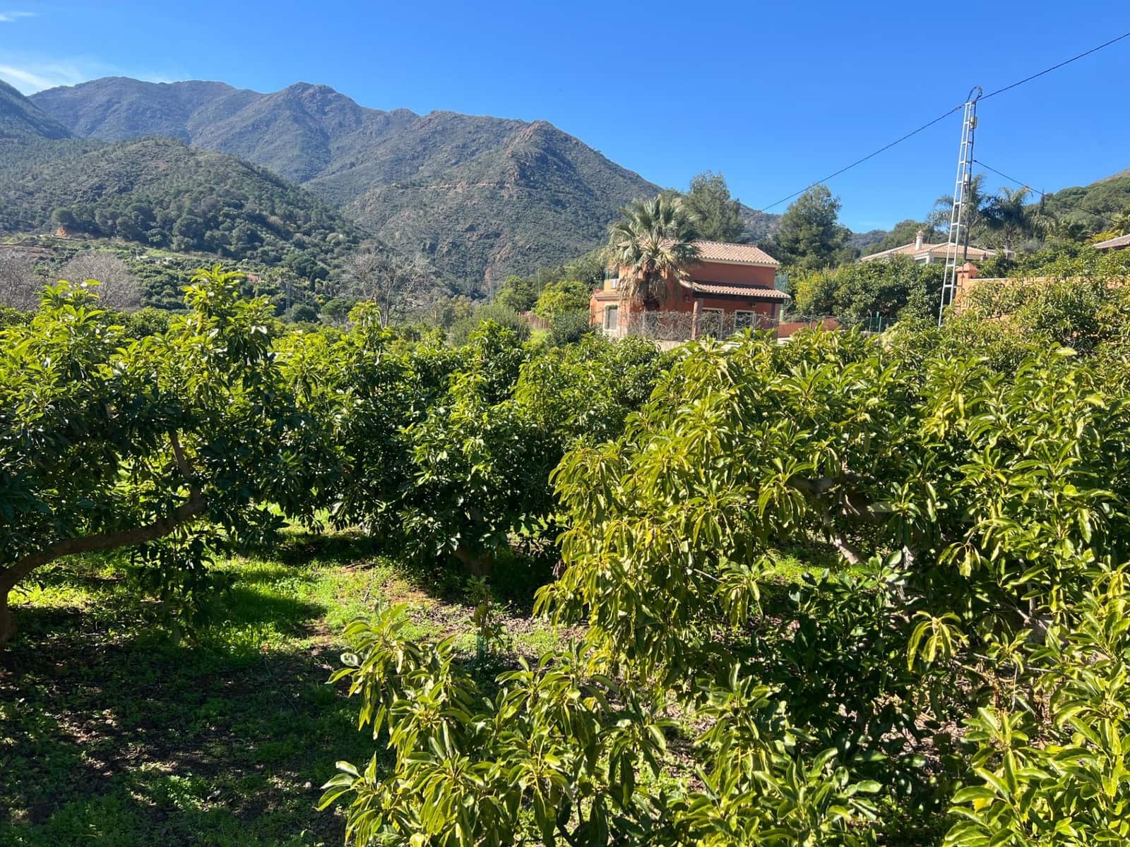 3 soverom Finca/Herregård til salgs i Coin - € 575 000 (Ref: 8827527)