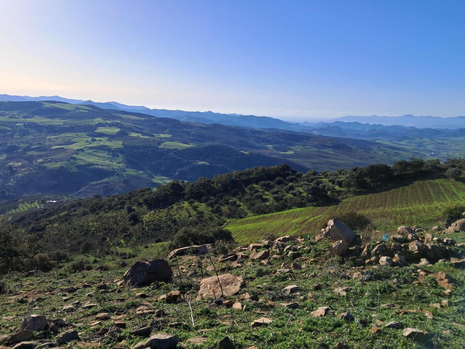 Grunde uden byggetilladelser til salg i Villanueva de la Concepcion - € 230.000 (Ref: 8851637)