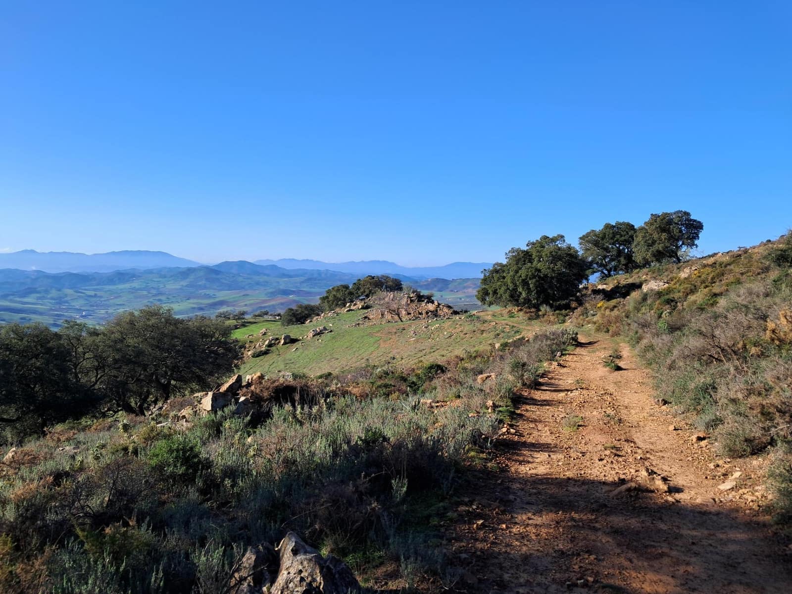 Grunde uden byggetilladelser til salg i Villanueva de la Concepcion - € 230.000 (Ref: 8851637)