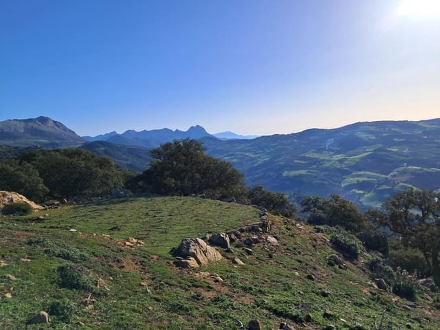 Mark till salu i Villanueva de la Concepcion - 230 000 € (Ref: 8851637)