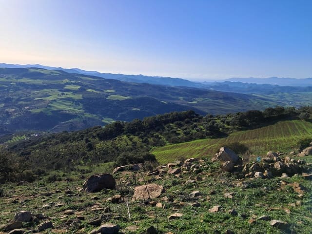 Mark till salu i Villanueva de la Concepcion - 230 000 € (Ref: 8851637)