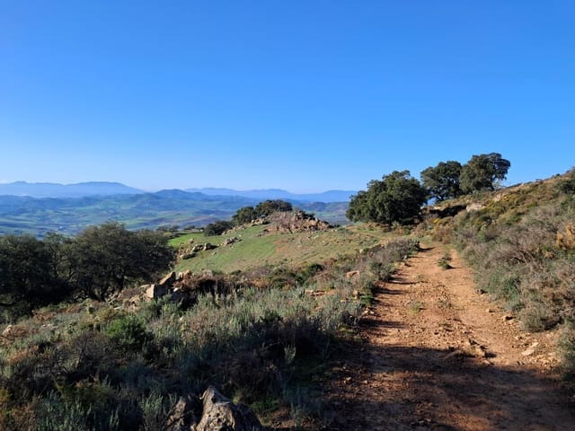 Mark till salu i Villanueva de la Concepcion - 230 000 € (Ref: 8851637)