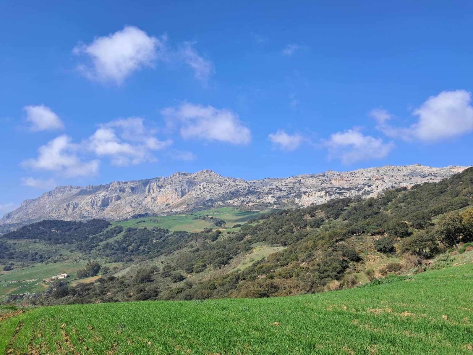 Grunde uden byggetilladelser til salg i Villanueva de la Concepcion - € 270.000 (Ref: 8851637)