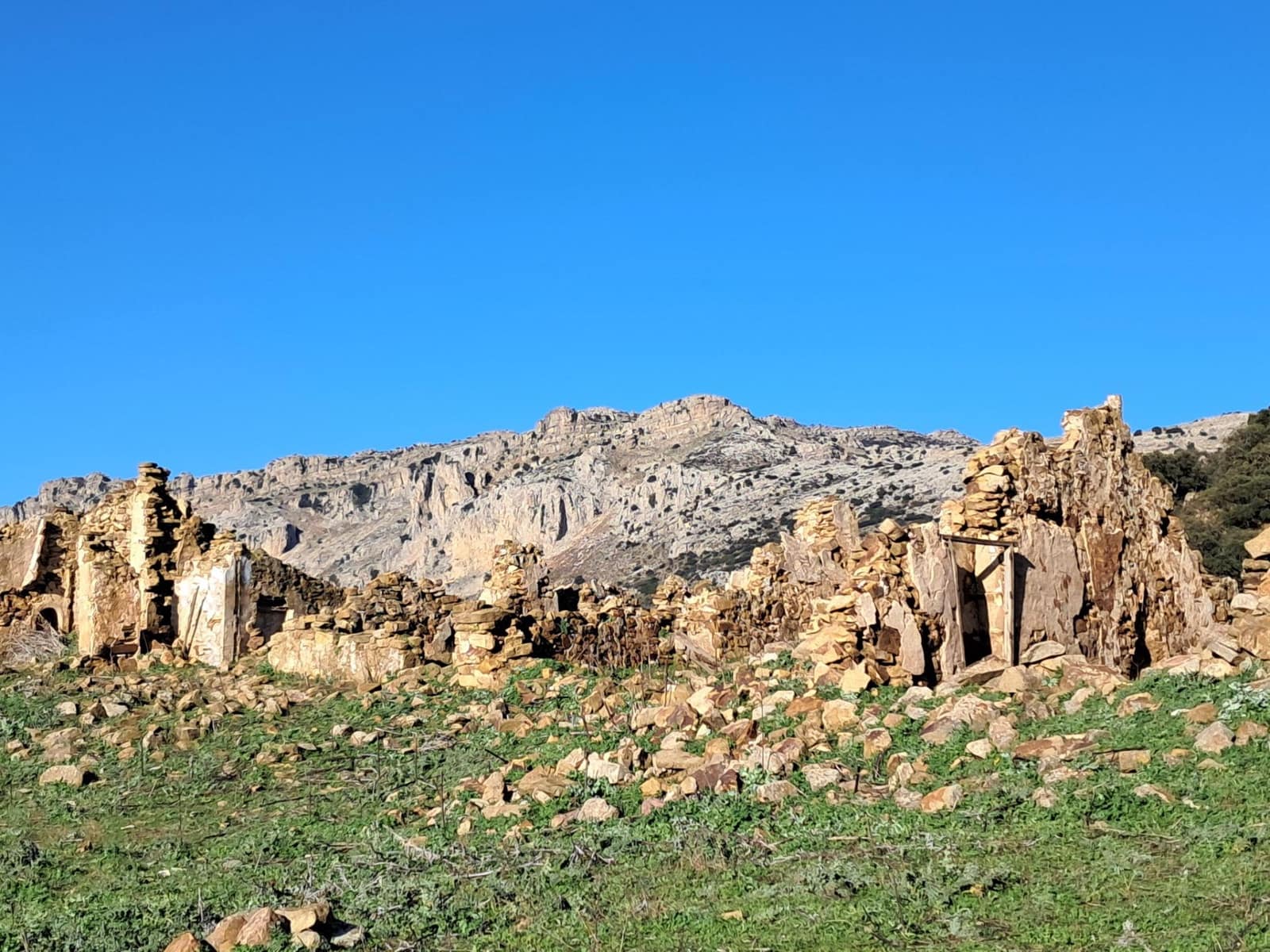 Grunde uden byggetilladelser til salg i Villanueva de la Concepcion - € 230.000 (Ref: 8851637)