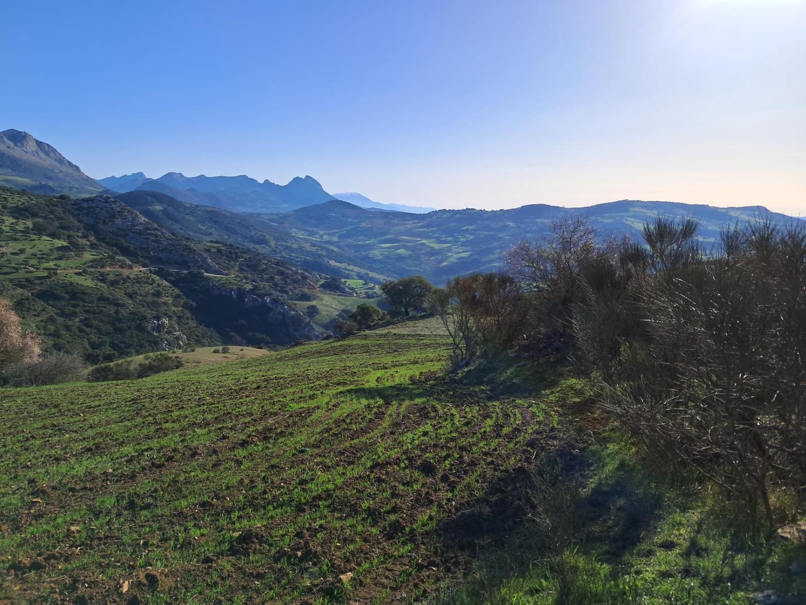 Grunde uden byggetilladelser til salg i Villanueva de la Concepcion - € 230.000 (Ref: 8851637)