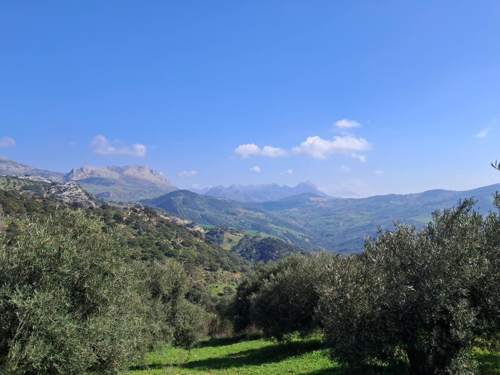 Grunde uden byggetilladelser til salg i Villanueva de la Concepcion - € 230.000 (Ref: 8851637)