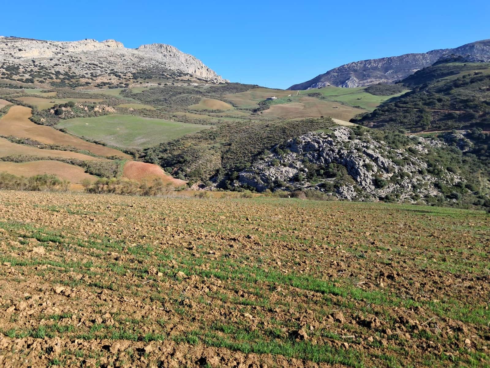 Grunde uden byggetilladelser til salg i Villanueva de la Concepcion - € 230.000 (Ref: 8851637)