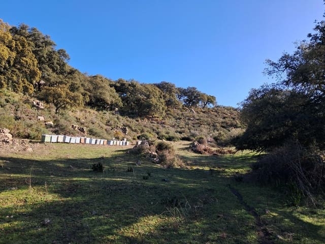 Mark till salu i Villanueva de la Concepcion - 230 000 € (Ref: 8851637)