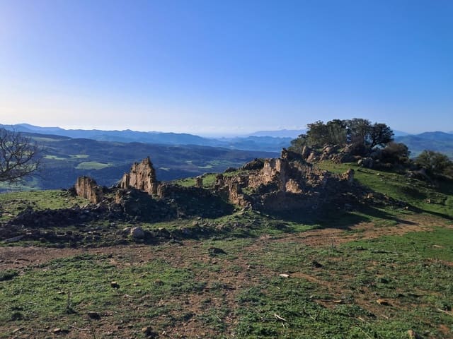 Mark till salu i Villanueva de la Concepcion - 230 000 € (Ref: 8851637)