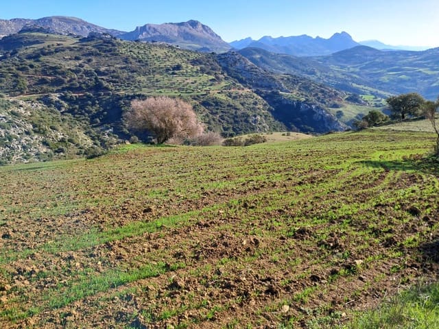 Mark till salu i Villanueva de la Concepcion - 230 000 € (Ref: 8851637)